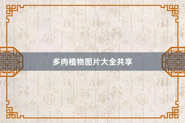 多肉植物图片大全共享