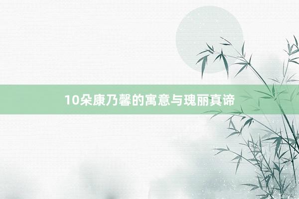 10朵康乃馨的寓意与瑰丽真谛