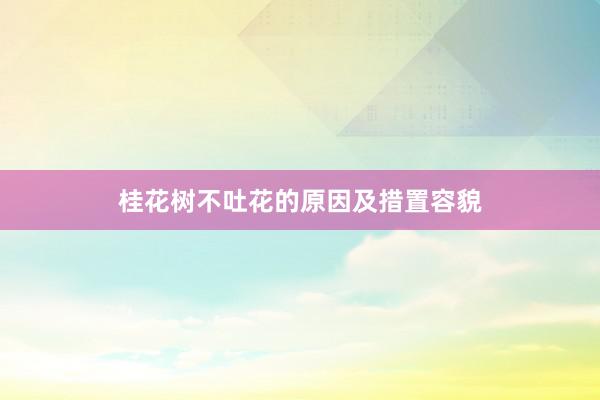 桂花树不吐花的原因及措置容貌